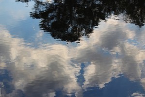reflections2